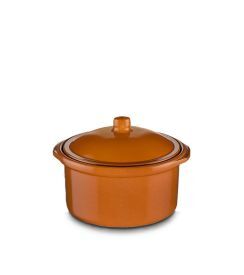 Regas Cocotte met deksel 17cm