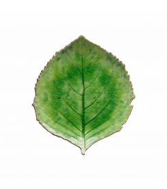 Costa Nova Bord Hydrangea Leaf Riviera Tomato Green 22cm