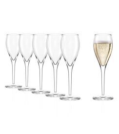 Stölzle Champagneglas Cuvée 145ml | 6 stuks