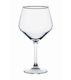 Vicrila Hostelvia Gala Ginglas 670ml | 6 stuks